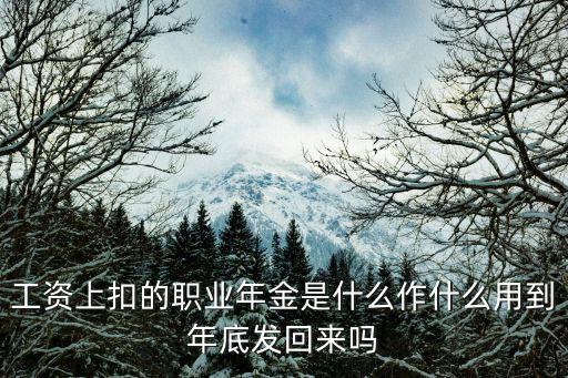 職業(yè)年金退休后如何領(lǐng)取，享受職業(yè)年金可同時(shí)領(lǐng)取退休工資嗎
