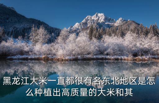 黑龍江大米一直都很有名東北地區是怎么種植出高質量的大米和其