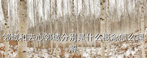 鄰域和去心鄰域分別是什么概念怎么理解