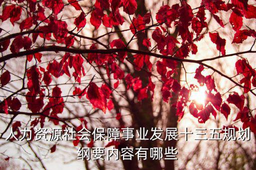 人力資源社會(huì)保障事業(yè)發(fā)展十三五規(guī)劃綱要內(nèi)容有哪些