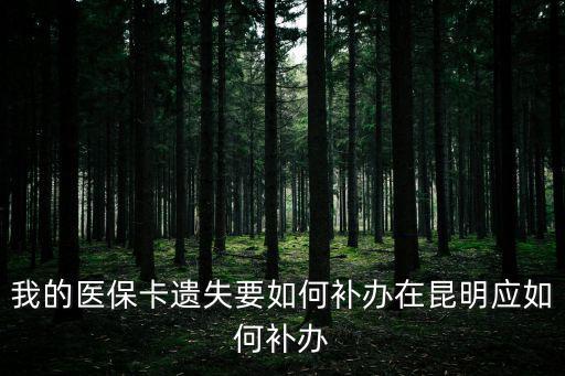 我的醫保卡遺失要如何補辦在昆明應如何補辦