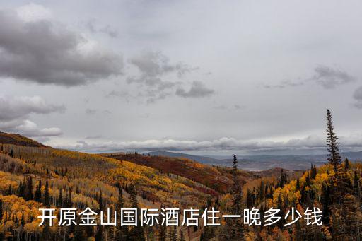 金山國際，金山國際自助餐怎么樣好吃嗎想嘗嘗