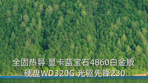 全固熱導 顯卡藍寶石4860白金版 硬盤WD320G 光驅先鋒230