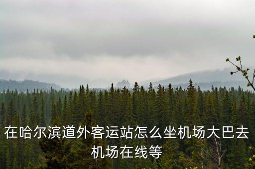 哈爾濱道外客運站，哈爾濱道外客運站地址