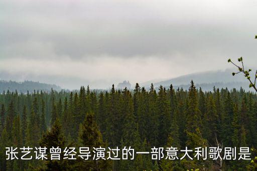 張藝謀曾經(jīng)導(dǎo)演過的一部意大利歌劇是