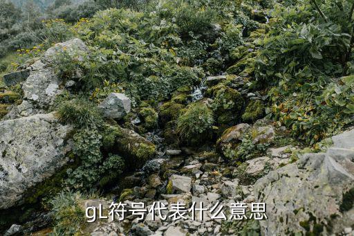g1704，列車停靠站臺查詢