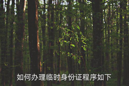 如何辦理臨時身份證程序如下