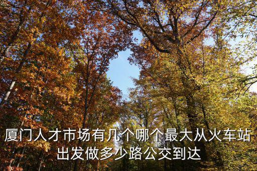 廈門人才市場有幾個哪個最大從火車站出發做多少路公交到達