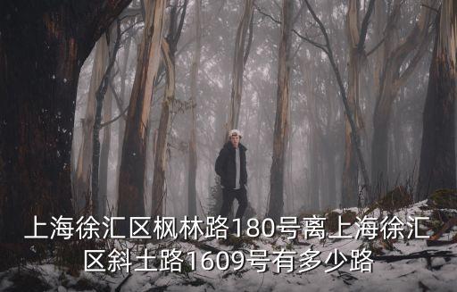 上海徐匯區楓林路180號離上海徐匯區斜土路1609號有多少路
