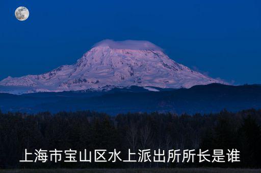 水上派出所，上海市寶山區水上派出所所長是誰