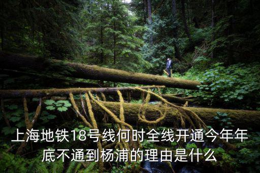 上海地鐵18號(hào)線何時(shí)全線開(kāi)通今年年底不通到楊浦的理由是什么