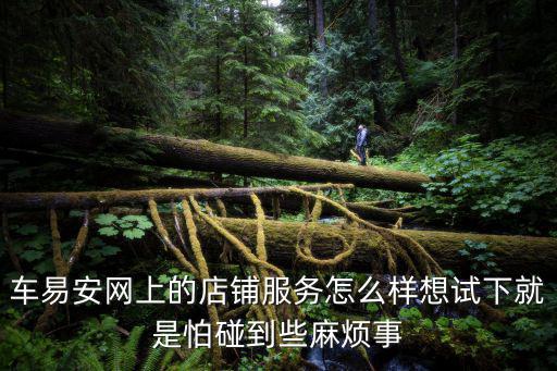 車易安網(wǎng)上的店鋪服務(wù)怎么樣想試下就是怕碰到些麻煩事