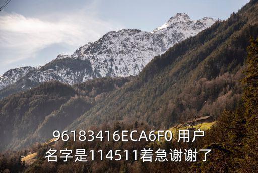 96183416ECA6F0 用戶名字是114511著急謝謝了