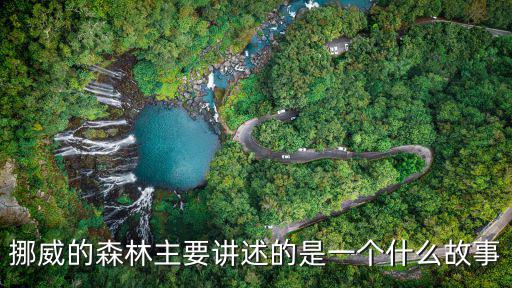 挪威的森林劇情介紹，請介紹一下挪威的森林這部電影