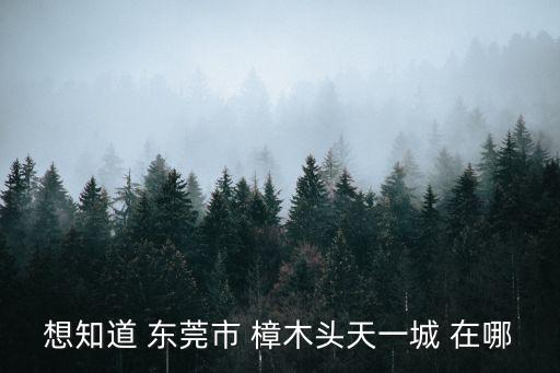想知道 東莞市 樟木頭天一城 在哪