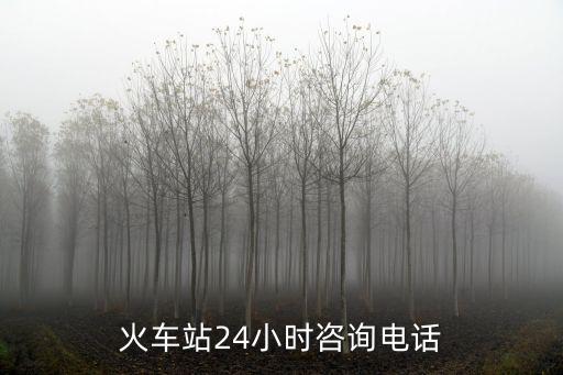 火車站24小時咨詢電話