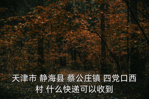 天津市 靜海縣 蔡公莊鎮 四黨口西村 什么快遞可以收到