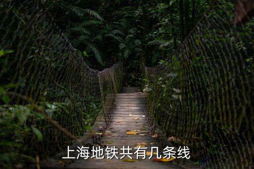 上海地鐵線，上海地鐵共有幾條線