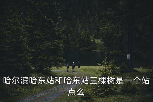 哈爾濱哈東站和哈東站三棵樹是一個站點么