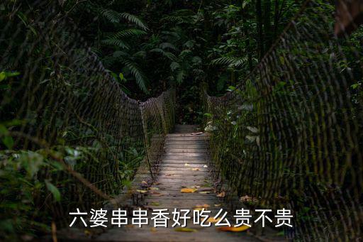 六婆串串香好吃么貴不貴