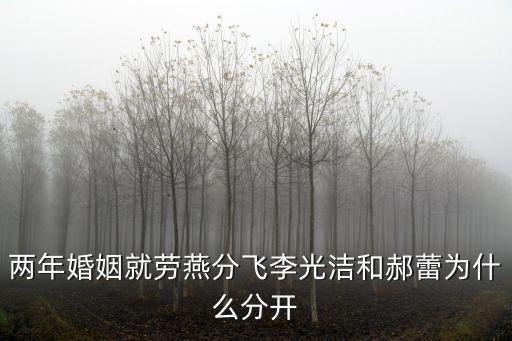 兩年婚姻就勞燕分飛李光潔和郝蕾為什么分開