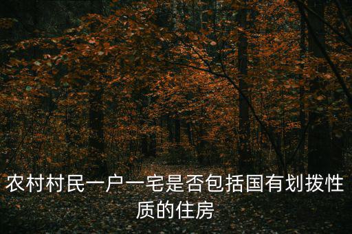農村村民一戶一宅是否包括國有劃撥性質的住房