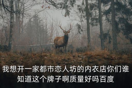 都市戀人坊，都市戀人坊內(nèi)衣質(zhì)量安全嗎