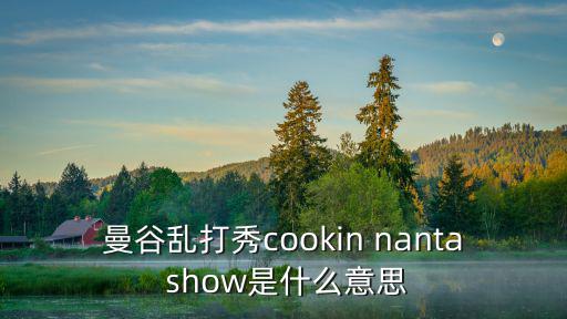曼谷亂打秀cookin nanta show是什么意思