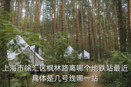 上海市徐匯區楓林路離哪個地鐵站最近具體是幾號線哪一站