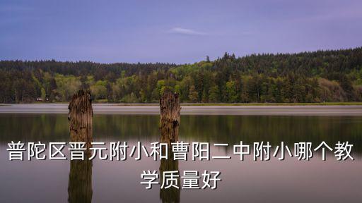 普陀區晉元附小和曹陽二中附小哪個教學質量好