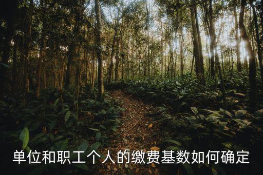 單位和職工個人的繳費基數如何確定