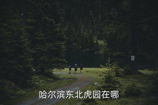 哈爾濱虎園，逛哈爾濱虎園價位