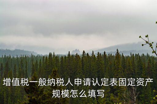 增值稅一般納稅人申請認定表固定資產規(guī)模怎么填寫