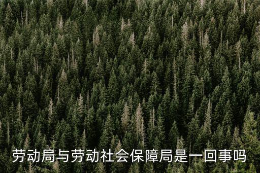 勞動(dòng)局與勞動(dòng)社會(huì)保障局是一回事嗎