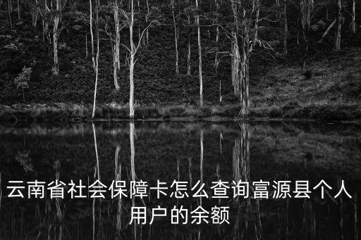 云南省社會(huì)保障卡怎么查詢富源縣個(gè)人用戶的余額