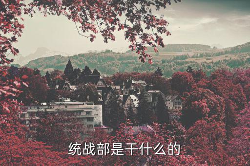 統(tǒng)戰(zhàn)部是干什么的