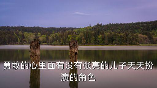 勇敢的心里面有沒有張亮的兒子天天扮演的角色