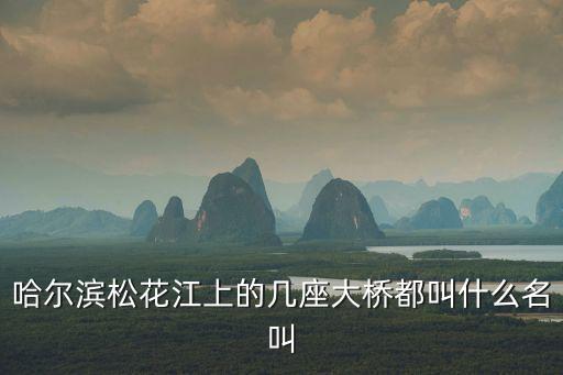 哈爾濱松花江上的幾座大橋都叫什么名叫