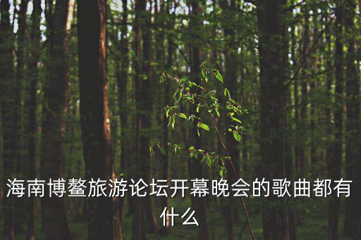 海南博鰲旅游論壇開幕晚會的歌曲都有什么