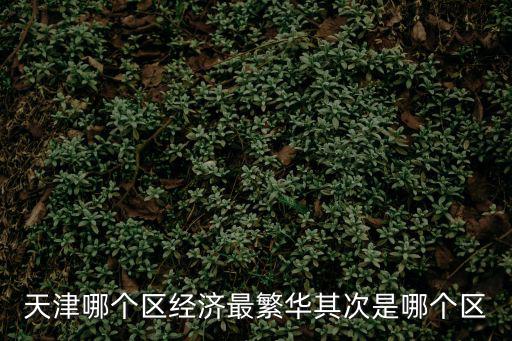 天津區(qū)排名，天津各區(qū)經(jīng)濟排名