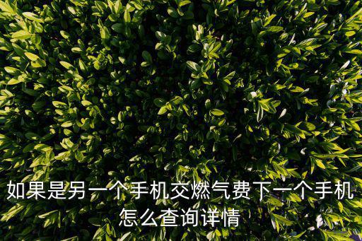 如果是另一個手機交燃氣費下一個手機怎么查詢詳情