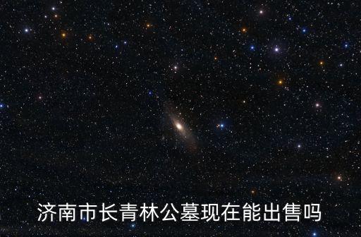 濟南市長青林公墓現在能出售嗎