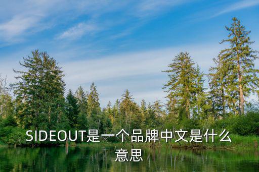 sideout，out of side mind什么意思