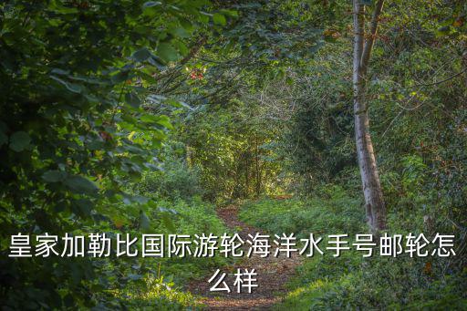 海洋水手號郵輪，海洋水手號郵輪用的是什么發動機