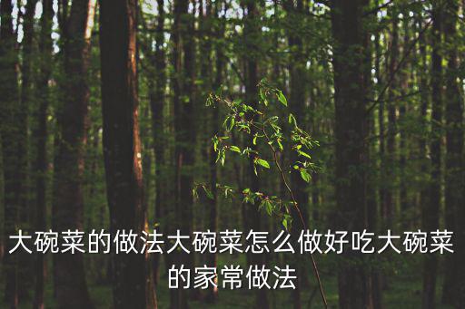 大碗菜的做法大碗菜怎么做好吃大碗菜的家常做法