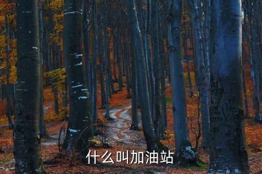 什么叫加油站