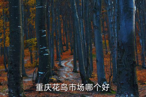 重慶花鳥市場哪個好