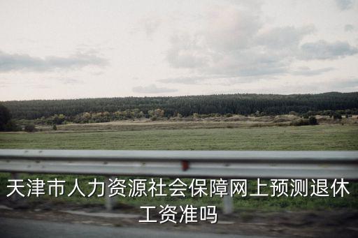 天津市人力資源社會保障網上預測退休工資準嗎