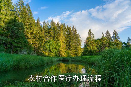 合作醫(yī)療怎么辦理，農(nóng)村合作醫(yī)療辦理流程