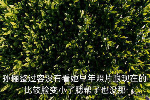 孫儷整容，孫儷整容過嗎